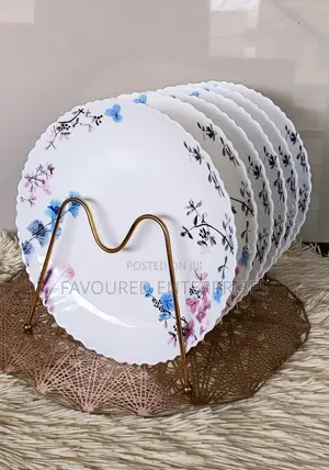 Beautiful 6pcs Ceramic Dinner Plates