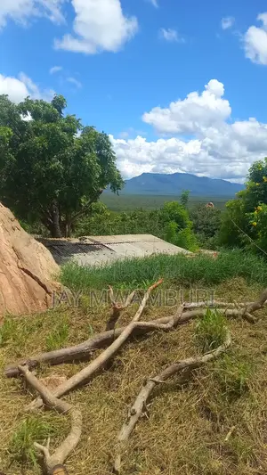 1000 Acres Maungu Voi