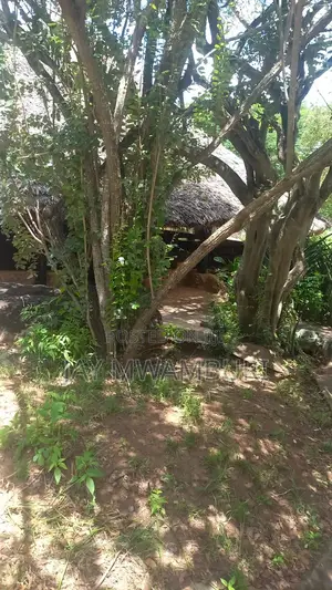 1000 Acres Maungu Voi