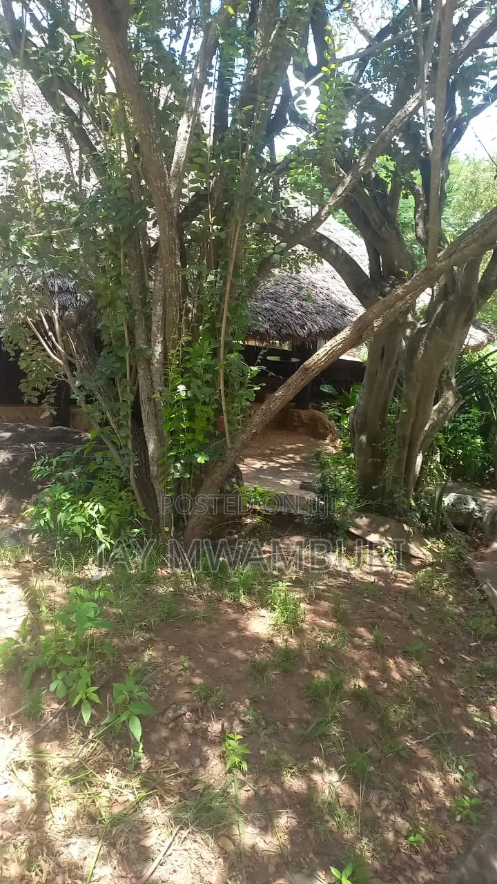 1000 Acres Maungu Voi