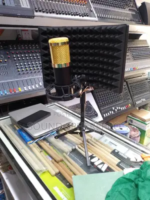 Small Booth,Bm800 Microphone Shock Mount and Tripod Stand