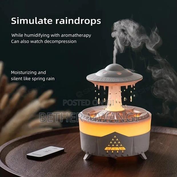 Raindrops Humidifier in Kenya - thumbnail 2