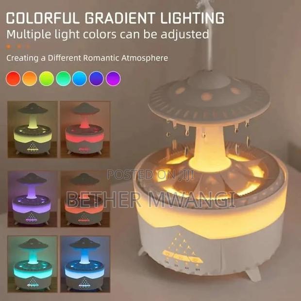 Raindrops Humidifier in Kenya - thumbnail 3