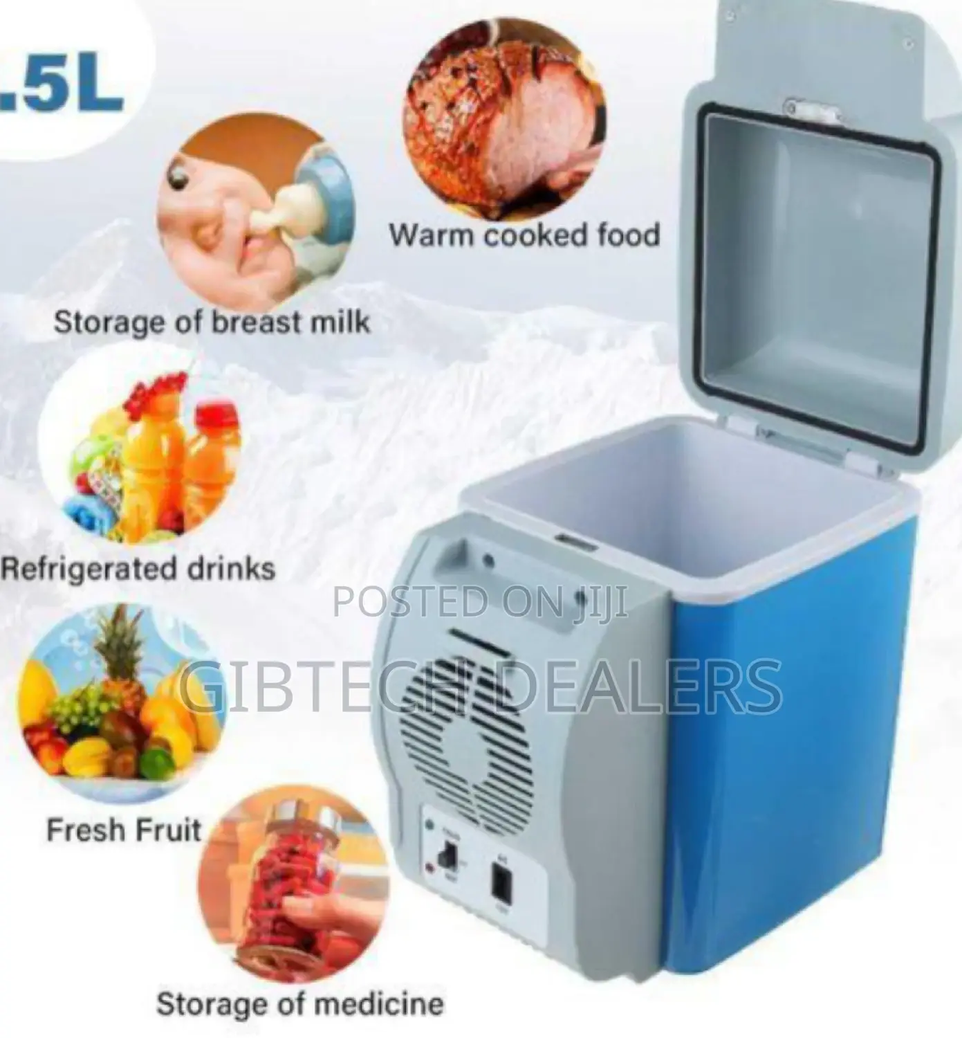 Affordable Car Fridge