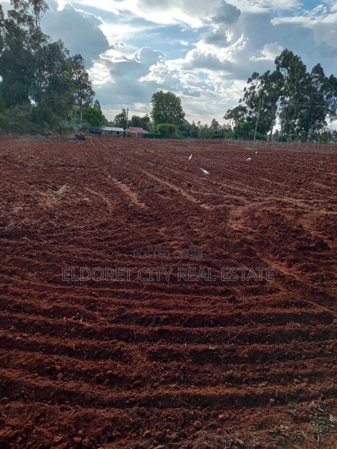 One Acre Kiplombe(Kaplelach)