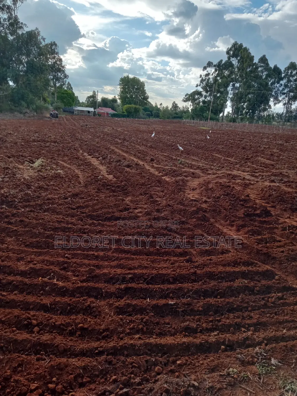 One Acre Kiplombe(Kaplelach)