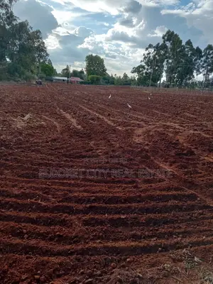 One Acre Kiplombe(Kaplelach)
