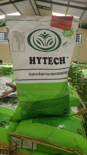 Sorghum Hybrid Mabrouk 5kg