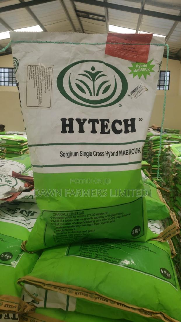 Sorghum Hybrid Mabrouk 5kg