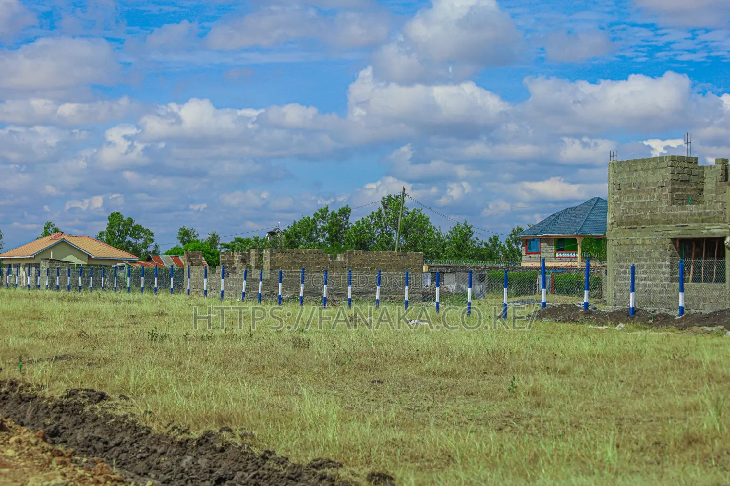 Prime Plots in Jujafarm ^KK