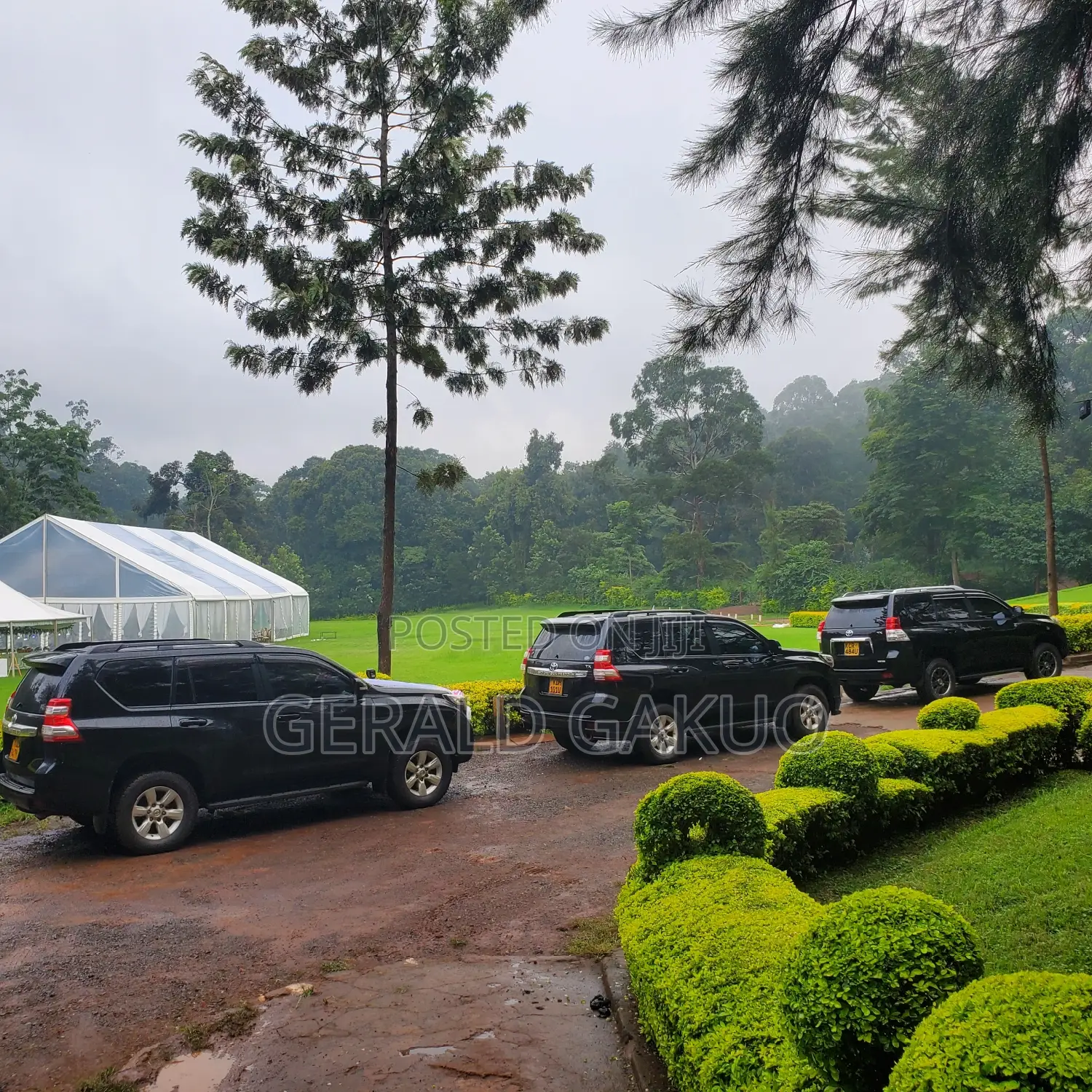Car Hire Services Toyota Prado