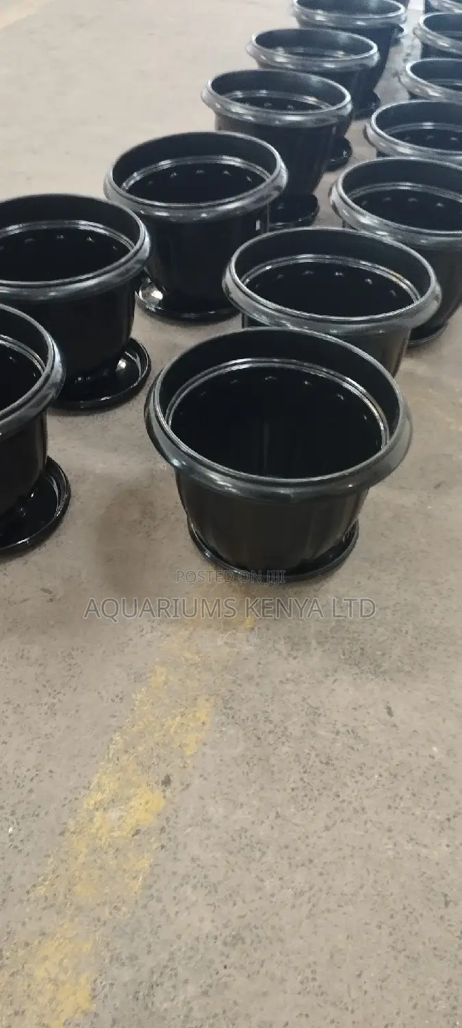Colourful Flower Pots,Roses Flower Pot