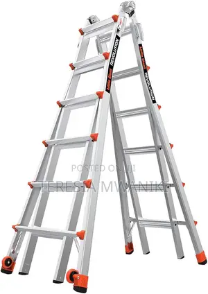 Little Giant Ladder/Multipurpose Ladder _ 20 Feet
