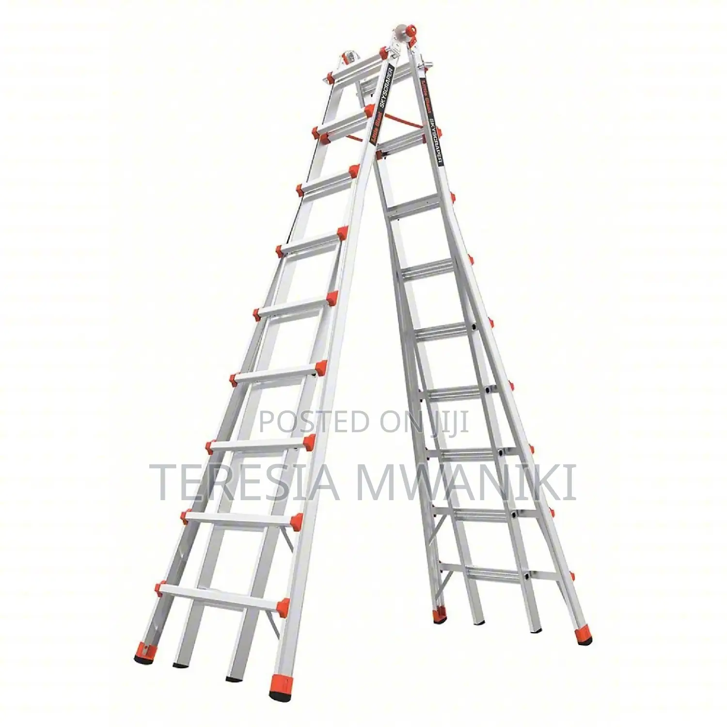 Little Giant Ladder/Multipurpose Ladder _ 20 Feet
