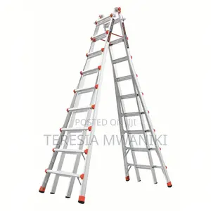 Little Giant Ladder/Multipurpose Ladder _ 20 Feet