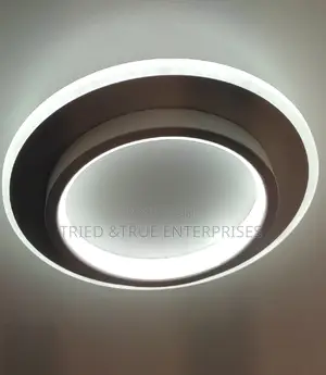 Ceiling Lights 3 Colours in One