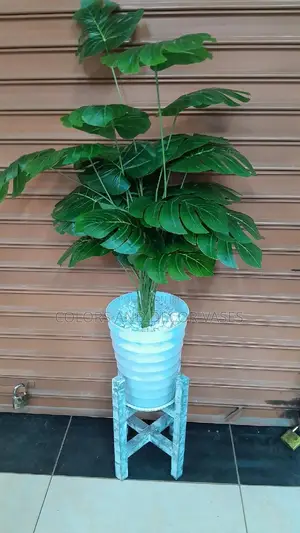 Monstera 24leaves, Plastic Vase and Wooden Stand