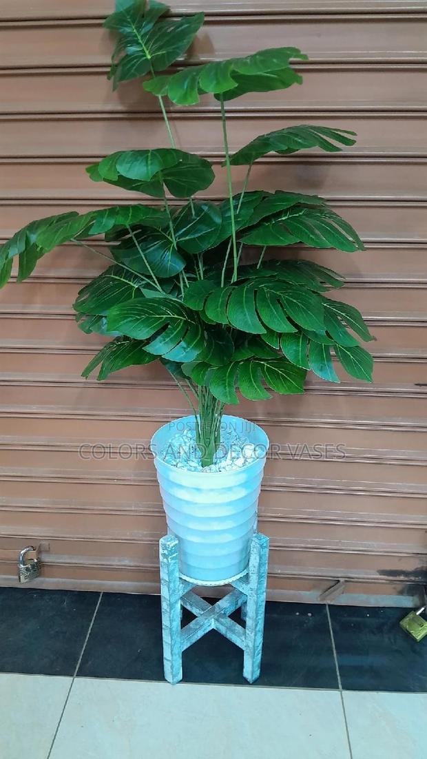 Monstera 24leaves, Plastic Vase and Wooden Stand