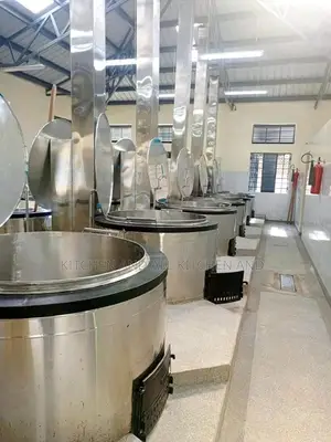 Energy Saving Ss Boiler