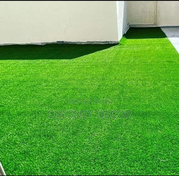 Turf Grass Turf Grass Turf Grass Turf Grass