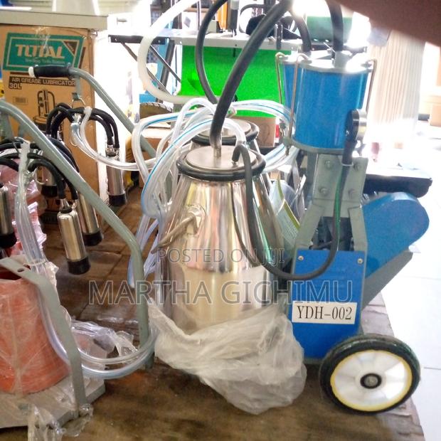 Stainless Double Buckets Milking Machine - main view