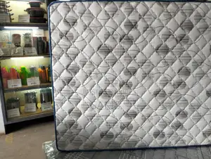 Pardon! 10inch 6 * 6 Pocket Spring Mattresses. Tunaleta
