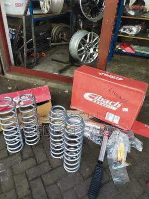 Eibach Pro 3" Lift Kit for 80/105 Land Cruiser Series