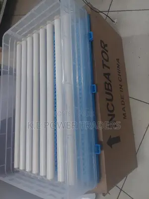 Full Automatic 64 Egg Incubator
