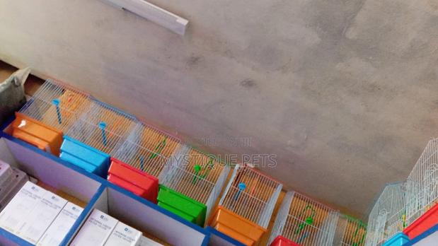 Birds -Cages - main view