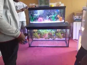 Fish Tanks