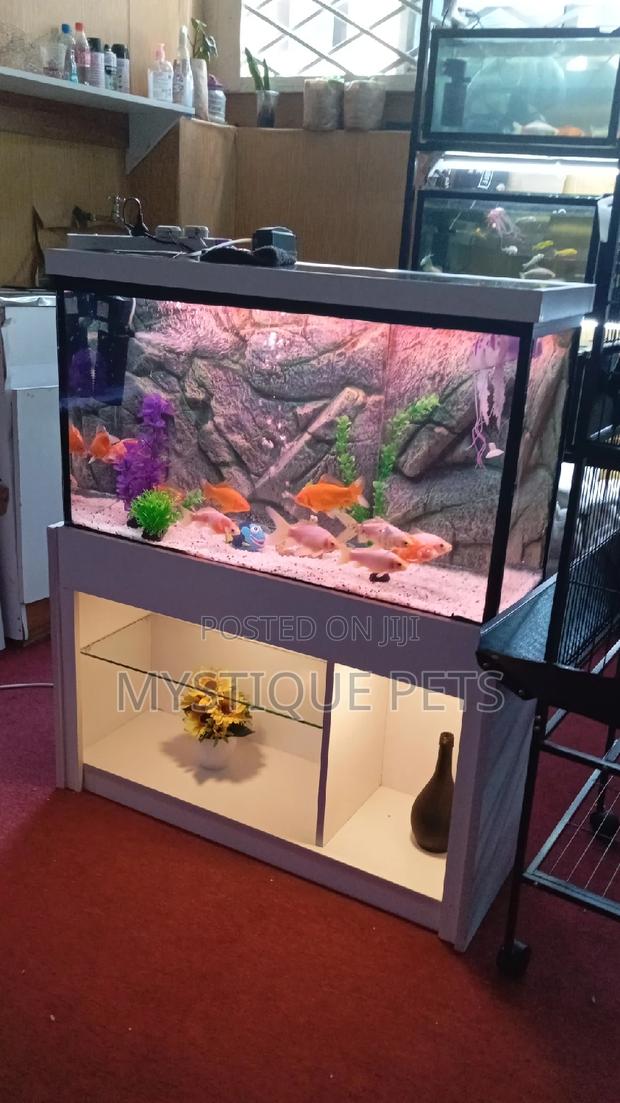 Fish Tanks - thumbnail 3