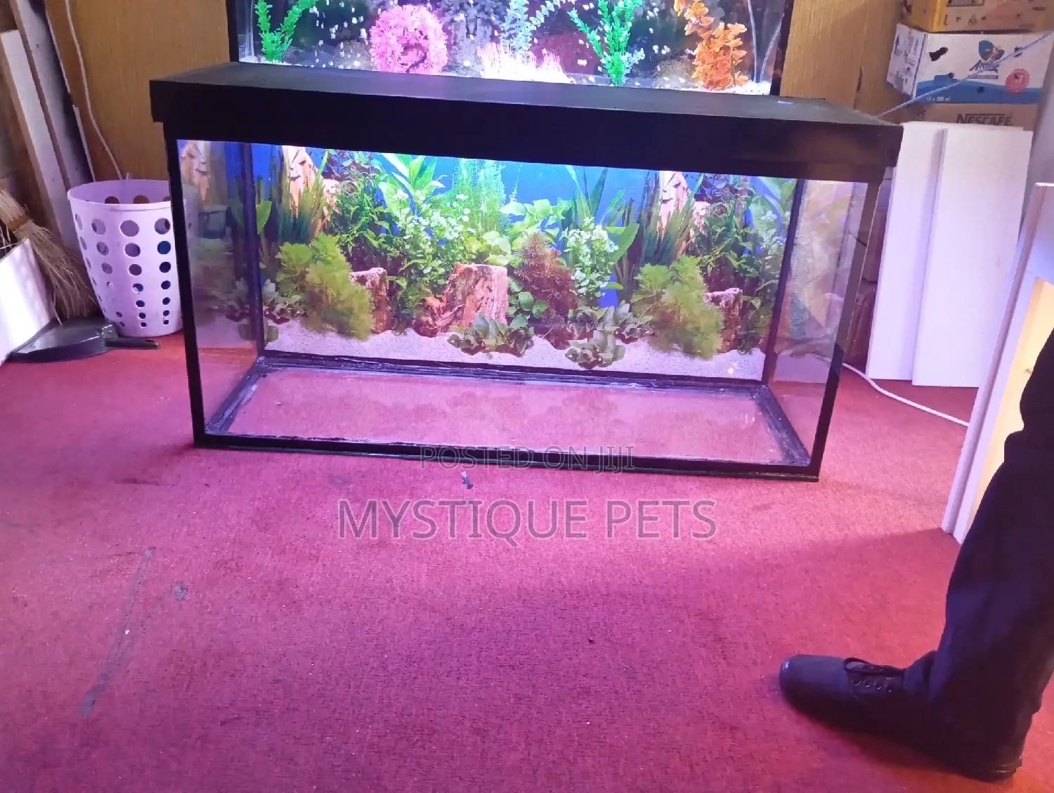Fish Tanks