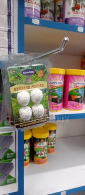 Vacation and Weekend Feeder - thumbnail 2