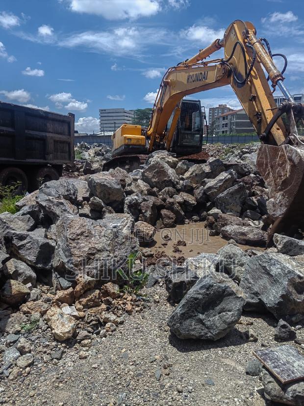 Excuvator for Hire With Breaker - thumbnail 5