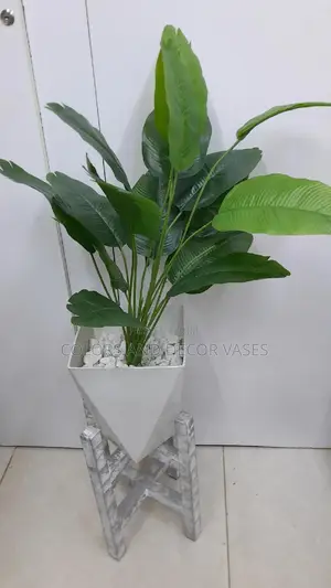 Plastic Vase, Banana Plant And Wooden Stand