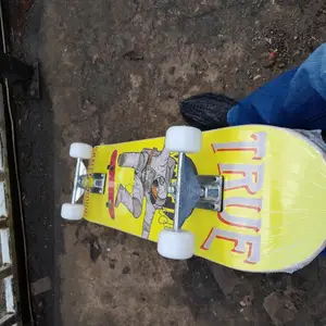 Adult Skate Board