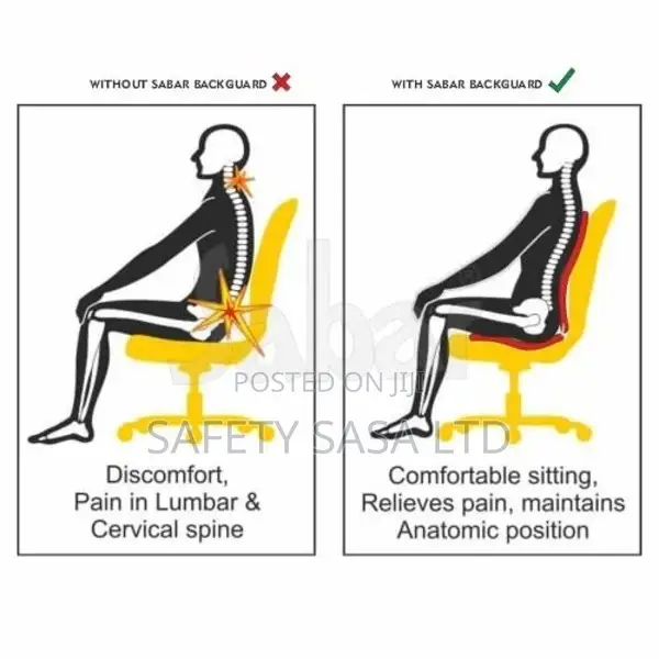 Back Guard Orthopedic Ergonomic Support Lumbar