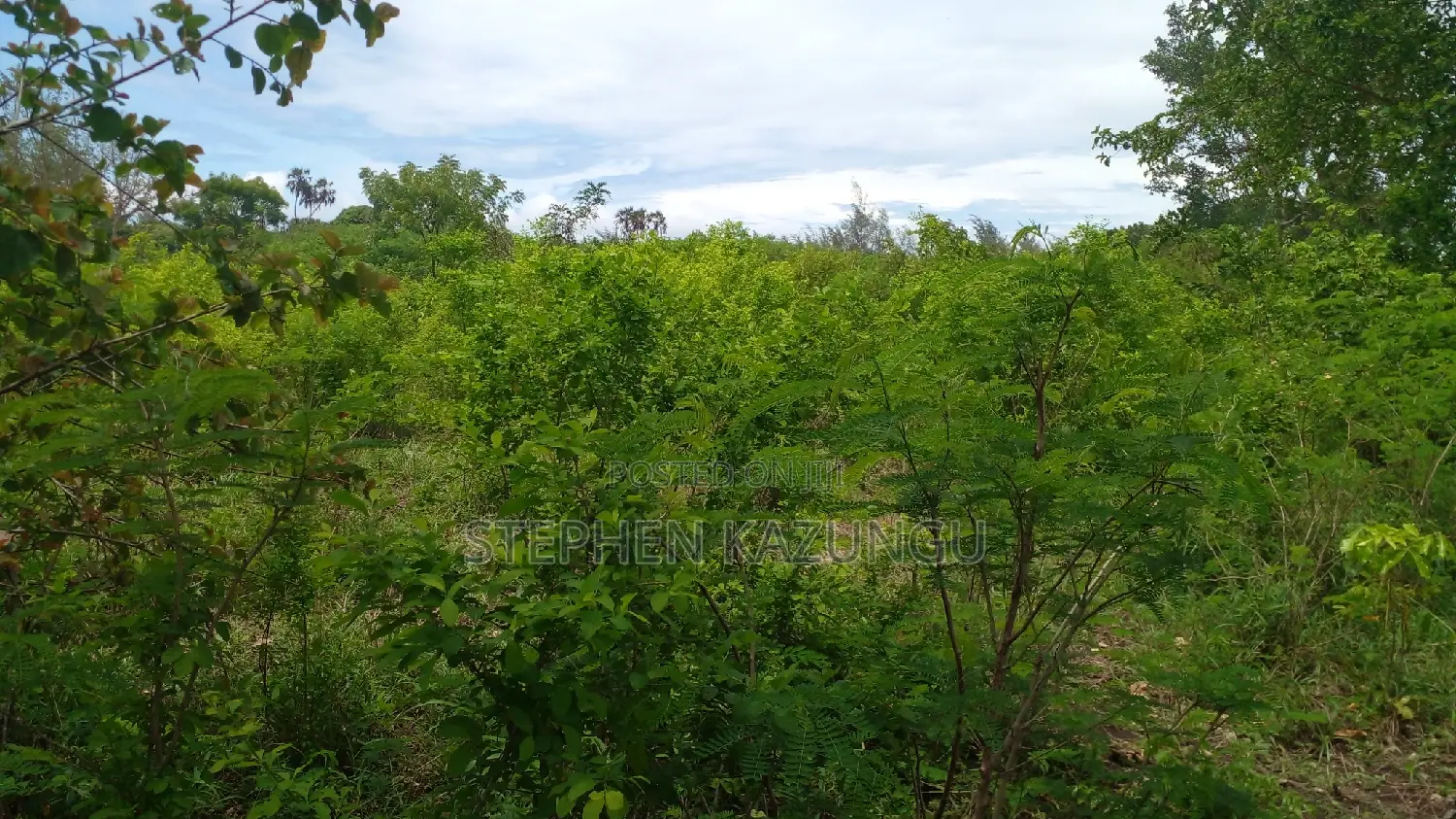 1/2 Acre Plot on Sale at Kinondo 200 Metres From Tarmac.