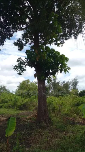 1/2 Acre Plot on Sale at Kinondo 200 Metres From Tarmac.
