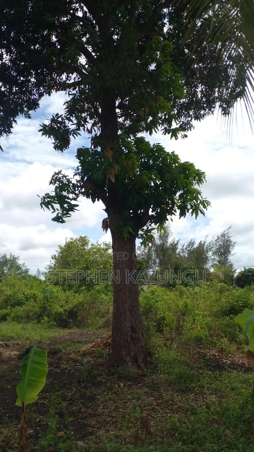 1/2 Acre Plot on Sale at Kinondo 200 Metres From Tarmac.