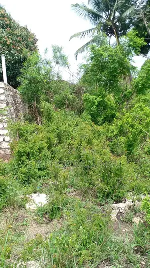 1/2 Acre Plot on Sale at Kinondo 200 Metres From Tarmac.