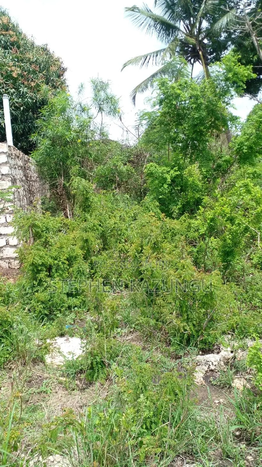 1/2 Acre Plot on Sale at Kinondo 200 Metres From Tarmac.