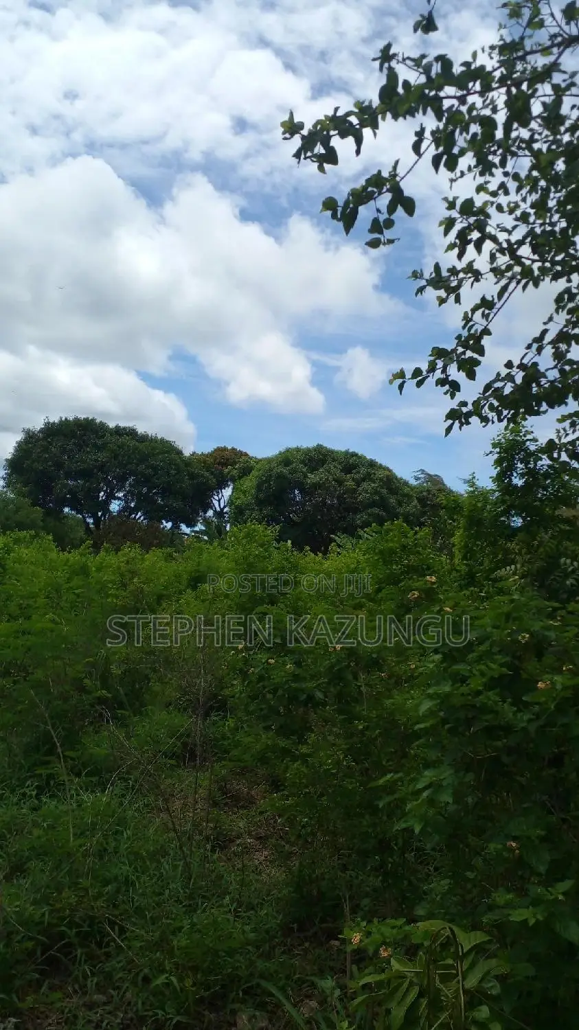 1/2 Acre Plot on Sale at Kinondo 200 Metres From Tarmac.