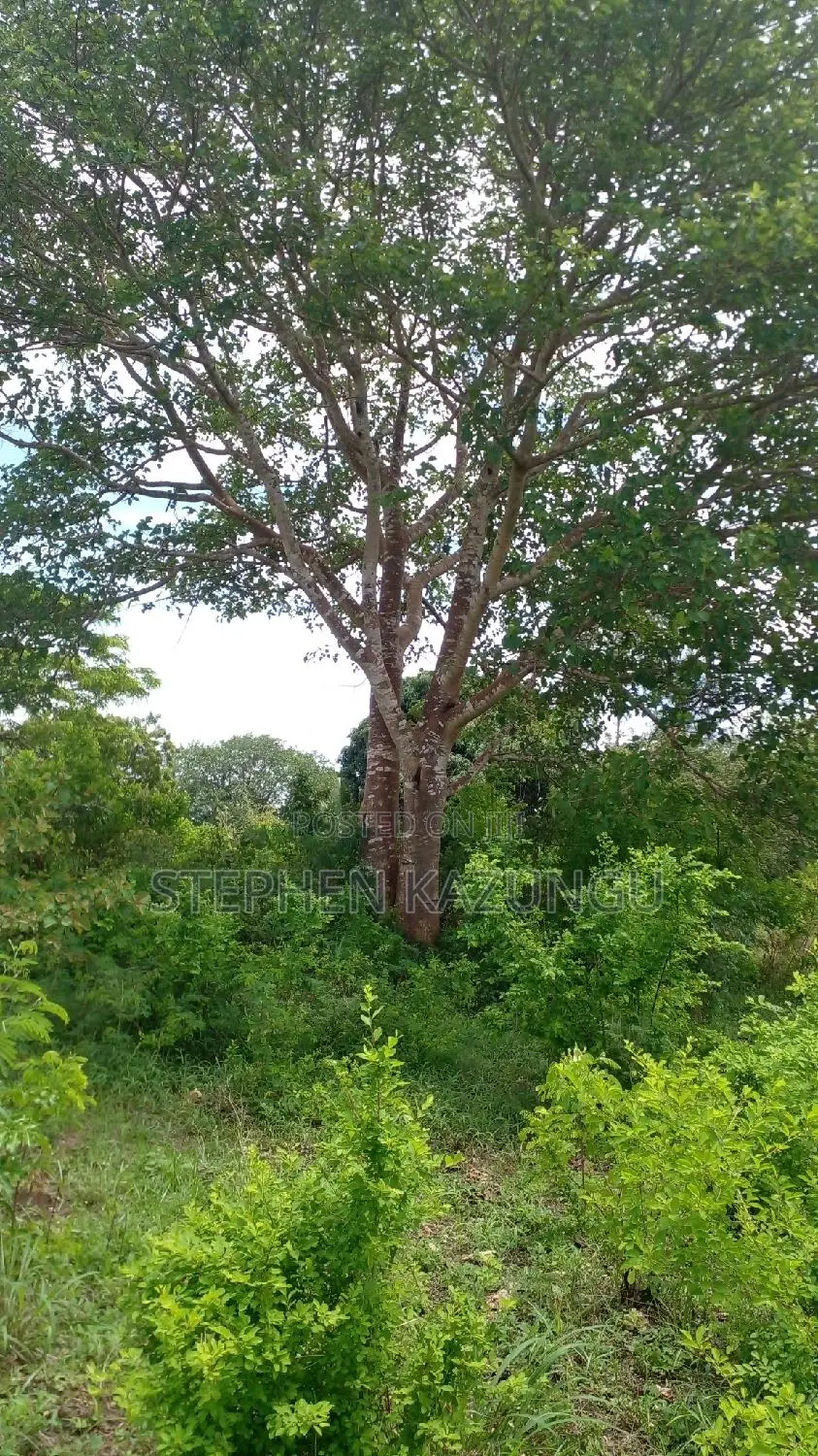 1/2 Acre Plot on Sale at Kinondo 200 Metres From Tarmac.