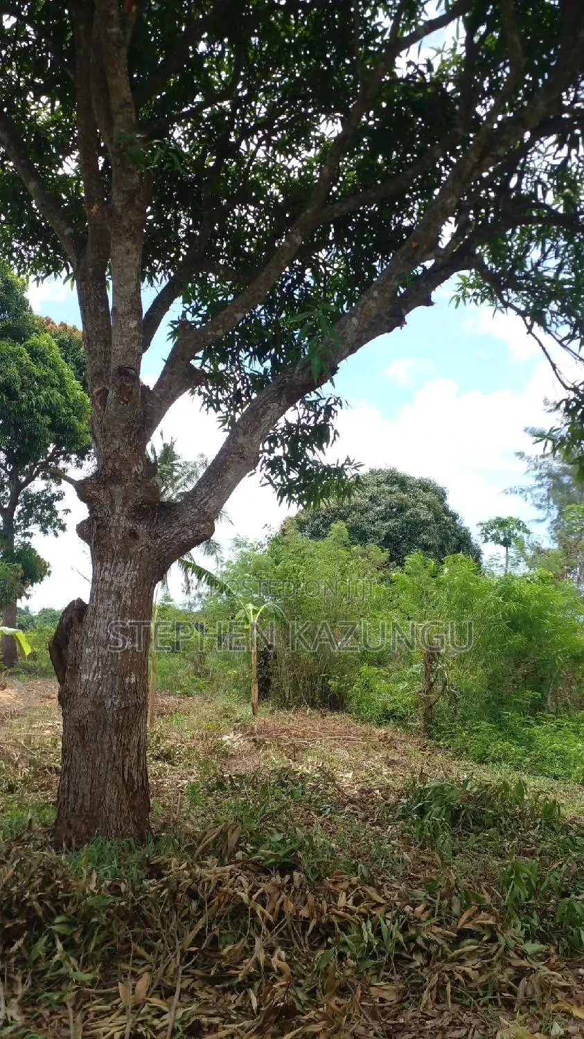 1/2 Acre Plot on Sale at Kinondo 200 Metres From Tarmac.