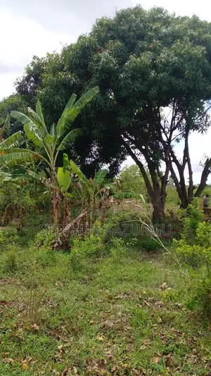 1/2 Acre Plot on Sale at Kinondo 200 Metres From Tarmac.