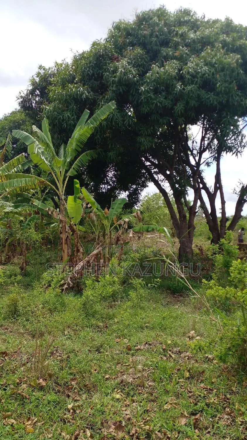 1/2 Acre Plot on Sale at Kinondo 200 Metres From Tarmac.