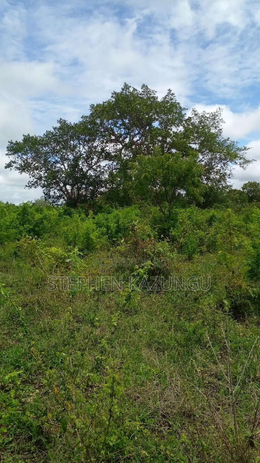 1/2 Acre Plot on Sale at Kinondo 200 Metres From Tarmac.