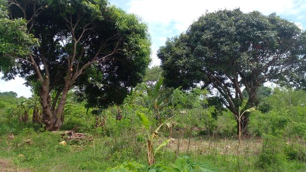 1 Acre Prime Plot on Sale at Kinondo in Ukunda Urban Zone. - thumbnail 6