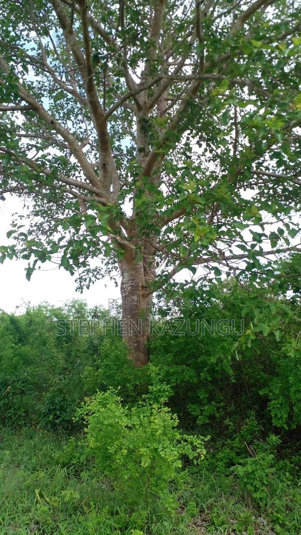 1 Acre Prime Plot on Sale at Kinondo in Ukunda Urban Zone. - thumbnail 4